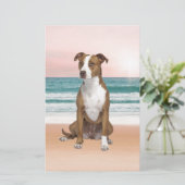 Papeterie Chien Pitbull mignon assis sur la plage avec couch (Debout devant)