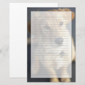 Papeterie Chien recherchant (Devant / Derrière)