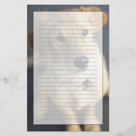 Papeterie Chien recherchant (Devant)
