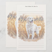 Papeterie Chien Retriever doré blanc (Devant / Derrière)