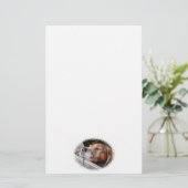 PAPETERIE CHIENS (Debout devant)