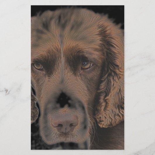 Papeterie Chiens Springer anglais (Devant)