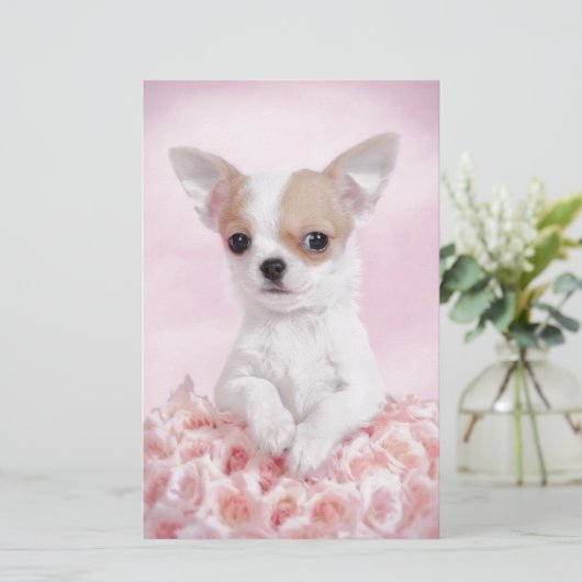 Papeterie Chihuahua en rose avec des roses (Debout devant)
