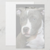 Papeterie Chiot de Pitbull stationnaire (Devant / Derrière)