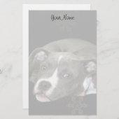 Papeterie Chiot de Pitbull stationnaire (Devant / Derrière)