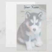 Papeterie Chiot de Sibérie Husky stationnaire (Devant / Derrière)
