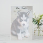 Papeterie Chiot de Sibérie Husky stationnaire (Debout devant)