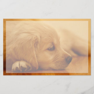 Papeterie Chiot Golden Retriever