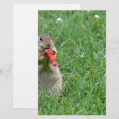 Papeterie Chipmunk.JPG (Devant / Derrière)