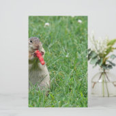 Papeterie Chipmunk.JPG (Debout devant)