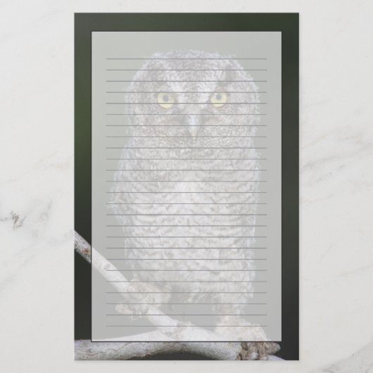 Papeterie Chouette à cris de l'Est, Megascops asio, Otus 2 (Devant)