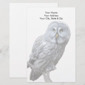 Papeterie Chouette grise (Devant / Derrière)
