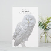 Papeterie Chouette grise (Debout devant)