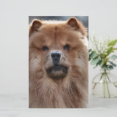 Papeterie Chow (Debout devant)