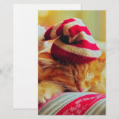 Papeterie Christmas Kitten (Devant / Derrière)
