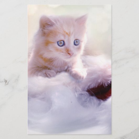 Papeterie Christmas Kitten (Devant)