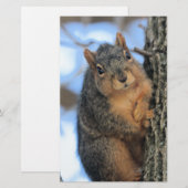 Papeterie Chubby (Devant / Derrière)