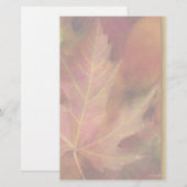 Papeterie Chute Feuille-Stationnaire (Devant / Derrière)