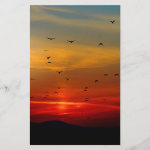 Papeterie Ciel atmosphérique, coucher de soleil, oiseaux, be