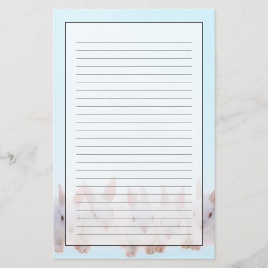 Papeterie Cinq lapins (Devant)