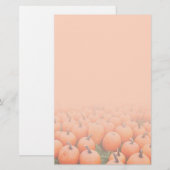 Papeterie Citrouilles (Devant / Derrière)