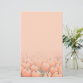 Papeterie Citrouilles (Debout devant)