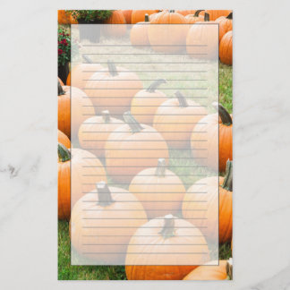 Papeterie Citrouilles à vendre au marché d'un agriculteur