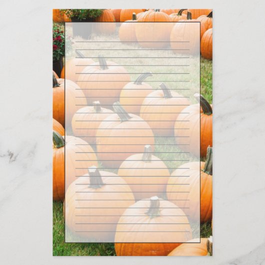 Papeterie Citrouilles à vendre au marché d'un agriculteur (Devant)