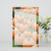 Papeterie Citrouilles à vendre au marché d'un agriculteur (Debout devant)