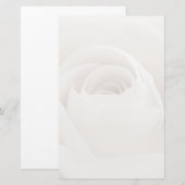 Papeterie Close up of White Rose (Devant / Derrière)