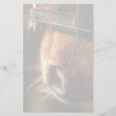 Papeterie Closeudo d'un mignon cheval Brown nez (Devant)