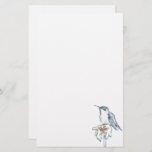 Papeterie Colibri bleu sur Shasta Daisy (Devant / Derrière)