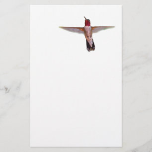 Papeterie colibri en vol