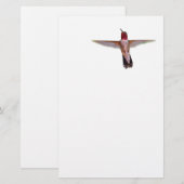 Papeterie colibri en vol (Devant / Derrière)