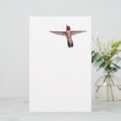 Papeterie colibri en vol (Debout devant)