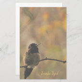 Papeterie Colibri Sur Branche Couleurs Chaudes Jaunes Vert (Devant / Derrière)