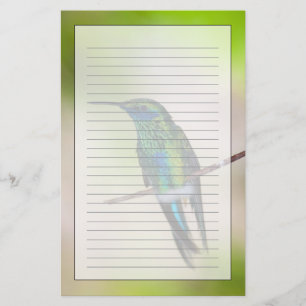 Papeterie Colibri vert de Violet-oreille