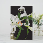 Papeterie Collection Lily artistique-1 (Debout devant)