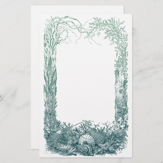 Papeterie Conception de frontière de plantes et de coquilles (Devant / Derrière)