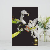 Papeterie Conception Irlandaise- Collection Laiton et Fleur (Debout devant)