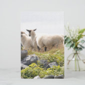 Papeterie Conception risquée - Moutons dans un champ (Debout devant)