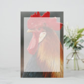 Papeterie Coq domestique de basse-cour (Debout devant)