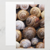 Papeterie Coques des escargots (Devant / Derrière)