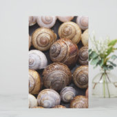 Papeterie Coques des escargots (Debout devant)