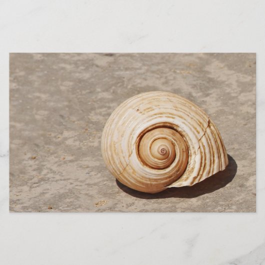 Papeterie Coquillage (Devant)