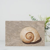 Papeterie Coquillage (Debout devant)