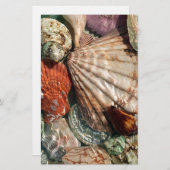 Papeterie Coquillages (Devant / Derrière)