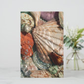 Papeterie Coquillages (Debout devant)