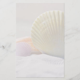 Papeterie Coquillages en sable blanc