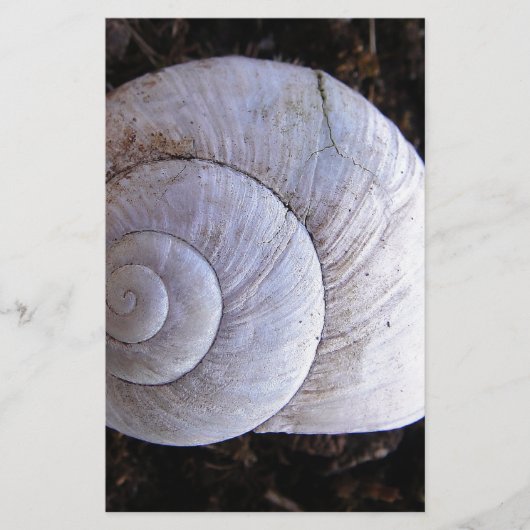 Papeterie Coquille d'escargot cool (Devant)